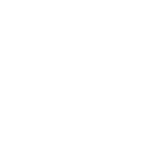 construction icon