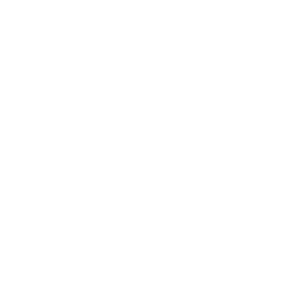 finishing icon