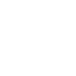 rigging icon